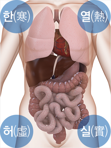 한영허실